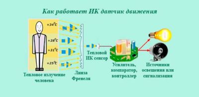 Как работает инфракрасный датчик движения?