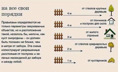 Норма посадки деревьев от забора соседа