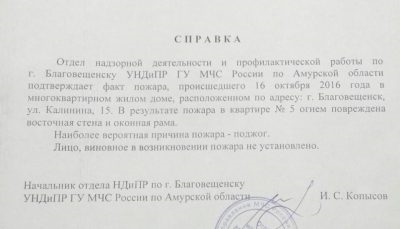 Справка об отсутствии ущерба при пожаре образец от юридического лица