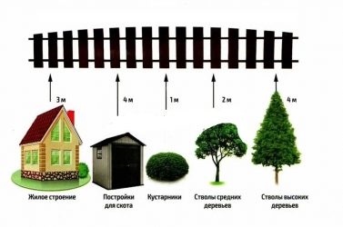 Норма посадки деревьев от забора соседа