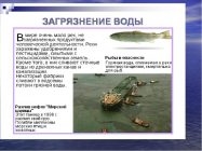 Интересные факты о загрязнении воды