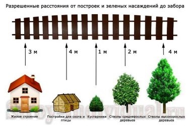 Норма посадки деревьев от забора соседа