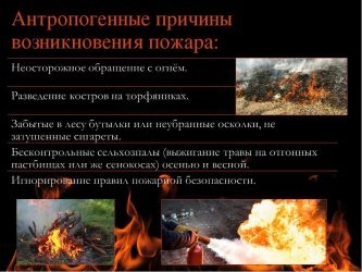 К антропогенным причинам возникновения пожаров относится