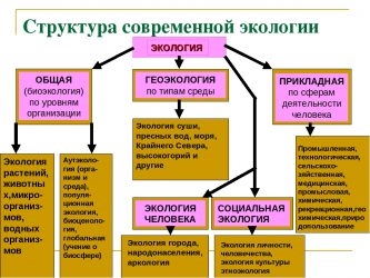 К каким наукам относится экология?