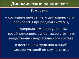 Что означает состояние гомеостаза экологической системы?