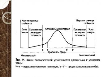 Кривая толерантности в экологии