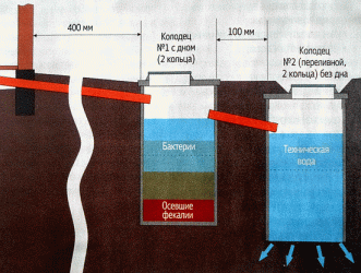 Бактерии для септика своими руками