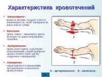 Определение и характеристика кровотечений