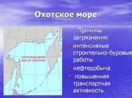 Экологические проблемы охотского моря