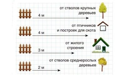 Норма посадки деревьев от забора соседа