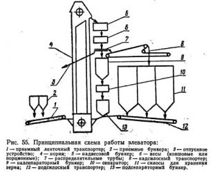 Принцип работы элеватора для зерна