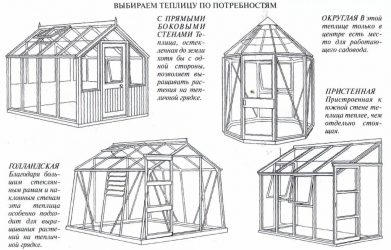 Оптимальный размер теплицы для дачи