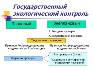 Проверка по экологии что проверяют?