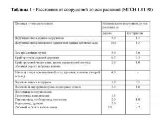 Нормы посадки деревьев от жилых домов