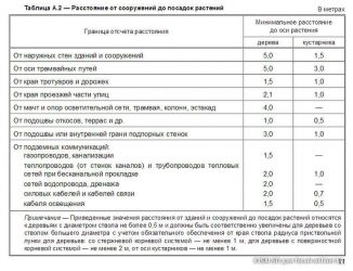 Нормы посадки деревьев от жилых домов