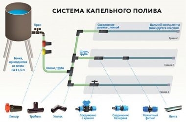 Что нужно для капельного полива в теплице?