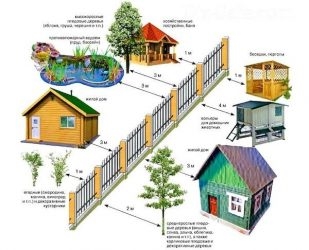 Норма посадки деревьев от забора соседа