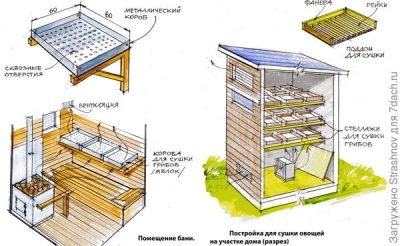 Принцип работы сушилки для овощей и фруктов