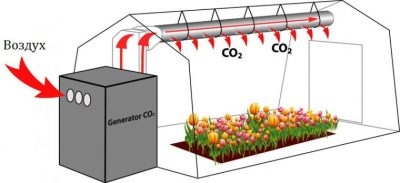 Углекислый газ для теплиц своими руками