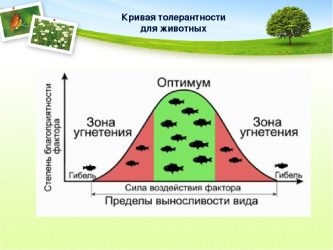 Кривая толерантности в экологии