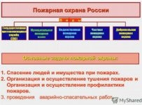 Виды пожарной охраны в Российской федерации