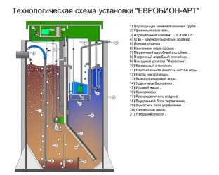 Евробион 5 принцип работы