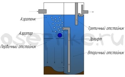 Евробион 5 принцип работы