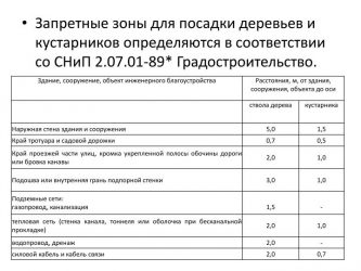 Нормы посадки деревьев от жилых домов