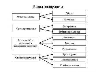 Какие существуют виды эвакуации?