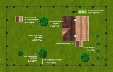 Норма посадки деревьев от забора соседа